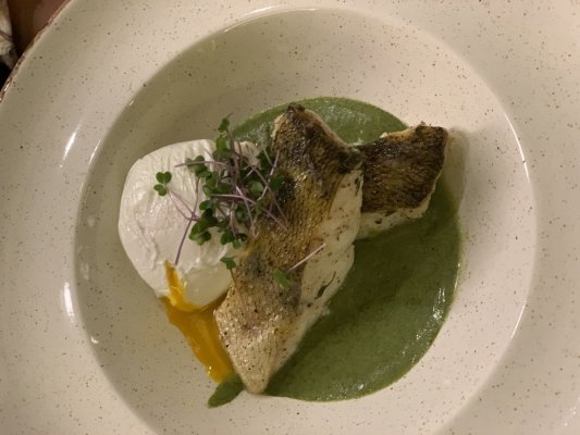 Судак с пюре